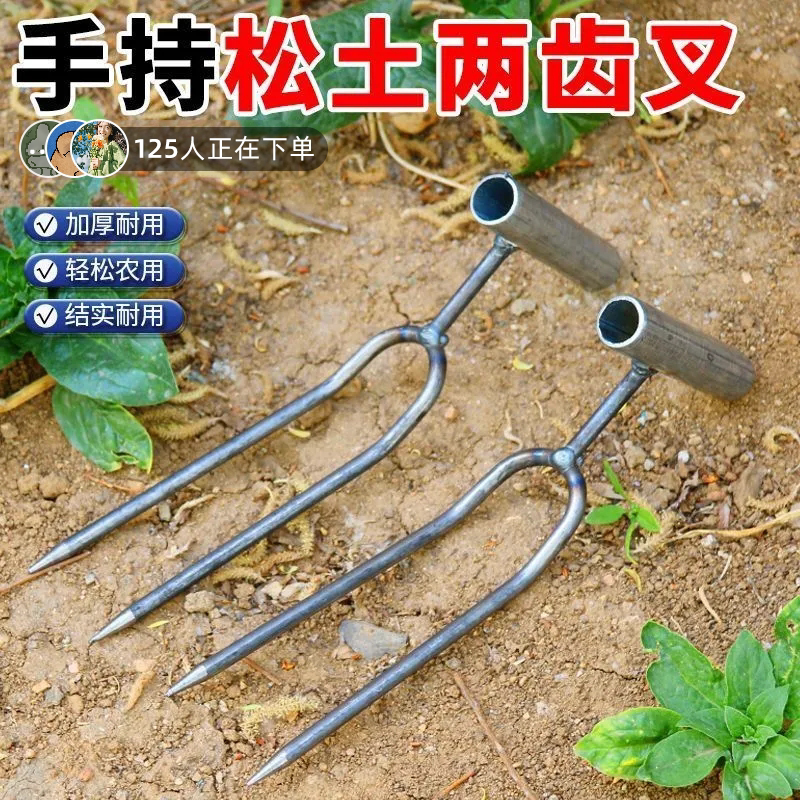 手持两齿松土翻土种菜铲