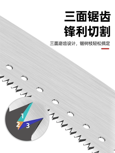 Высокая ветвь увидела, что высоко высотные деревья