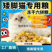 矮脚短脚猫专用猫粮5斤10斤大包装 通用型家猫土猫成猫幼猫鱼1222