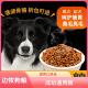 边牧专用狗粮边境牧羊犬大包装 40斤10斤通用型成幼犬牛肉味411222