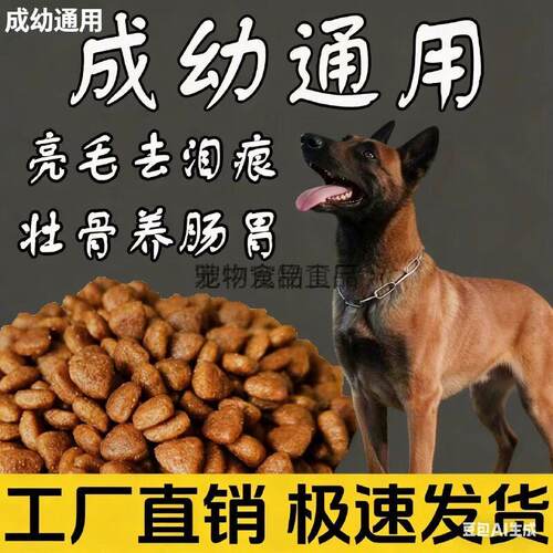 马犬专用全阶段营养狗粮小幼犬成犬通用型10斤装大包装40斤牛肉味
