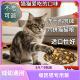 缅因猫专用全价猫粮5斤10斤大包装 通用型营养成猫幼猫45546牛肉味