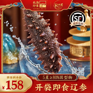 即食海参大连鲜活野生辽刺参海生深海滋补大连特产开袋即食