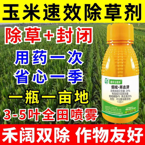 烟嘧莠去津玉米苗后除草剂