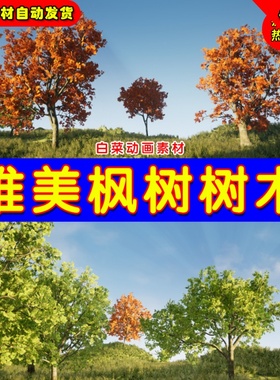 UE4枫树树木UE5集合 Tree Pack (Assorted Maple Trees)