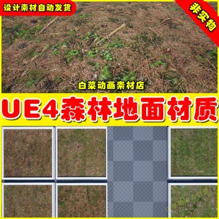 Vol UE4森林地面场景UE5材质 Forest Landscape Materials