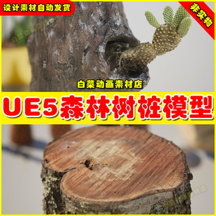 UE5 5.4 3D Scanned Photorealistic Pack Vol. 01 树桩落叶模型