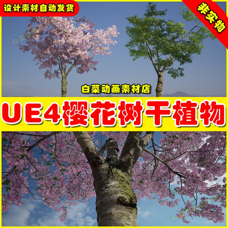 UE4樱花树精品树木UE5模型4.27 Scanlabz Trees _ Cherry Tree
