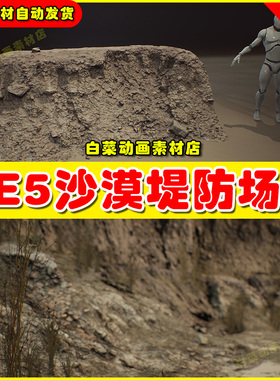UE5 Desert Embankments - Photoscan Vol 4 沙漠堤防沙子场景5.4