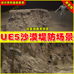 UE5 Desert Embankments - Photoscan Vol 4 沙漠堤防沙子场景5.4