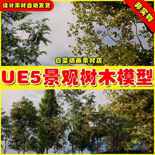 景观森林树木模型5.1 UE5虚幻资源Landscaping Trees 5.2 Small