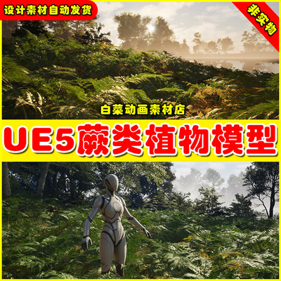 UE5 Bracken Fern v1.1 Nanite Foliage虚幻引擎5.5蕨类植物模型