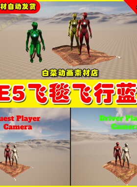UE5 Multiplayer Flying Carpet Broom with Follow AI 飞毯蓝图