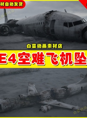 UE4虚幻UE5 Crashed Airliner 残旧飞机坠毁破旧环境客机场景