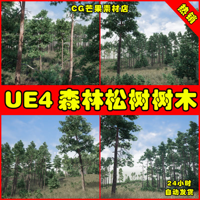 UE4森林松树树木UE5植物道具Trees Pine Tree