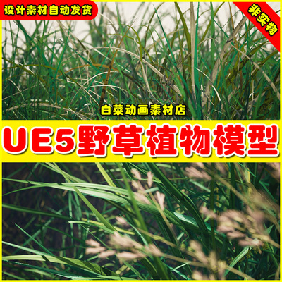 UE5 Wild Grass - Kentucky Bluegrass 5.5版本野草植物草地模型