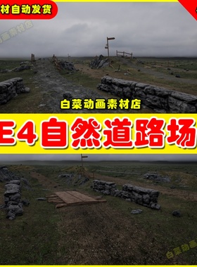 UE4虚幻UE5 Brushify - Natural Roads Pack 自然破败道路场景