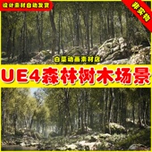 四季 UE4 Forest Oak 森林树木场景4.27 Procedural