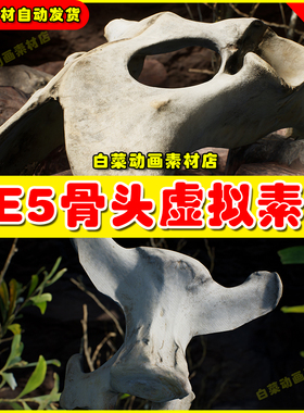 UE5 Dry Animal Bones - Photoscan Vol 2 5.3 动物头骨虚拟素材
