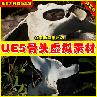 UE5 Dry Animal Bones - Photoscan Vol 2 5.3 动物头骨虚拟素材