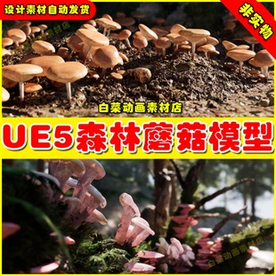 Pack UE5虚幻资源 Mushroom Fungi 森林蘑菇真菌模型5.2 Forest