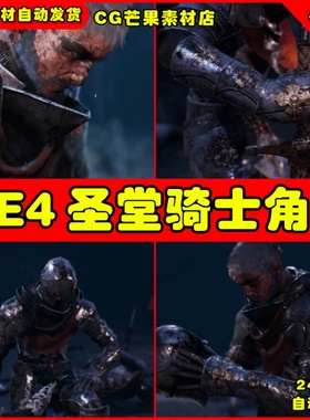 UE4圣殿骑士剑客UE5人物动画模型 Ravens S2 Templar Knight