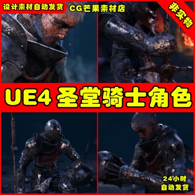 UE4圣殿骑士剑客UE5人物动画模型 Ravens S2 Templar Knight