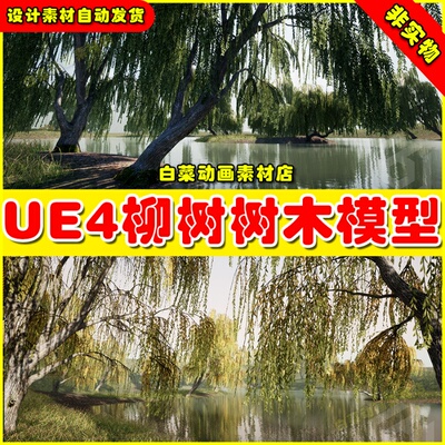 UE5 Trees Willow tree 河边柳树树木植物UE4模型4.27