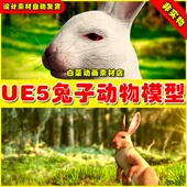 Rabbit UE5虚幻资源 Realistic 写实兔子动物模型5.2