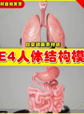 UE4人体内部结构模型UE5素材 Human Internal Organs 4.27