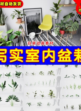 UE4写实室内盆栽Realistic Plants Vases and Environments Pack