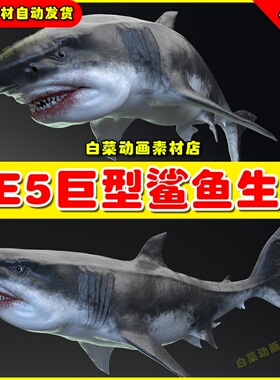 UE5虚幻资源 MEGALODON - Sea Monster Series 5 深海鲨鱼模型5.2