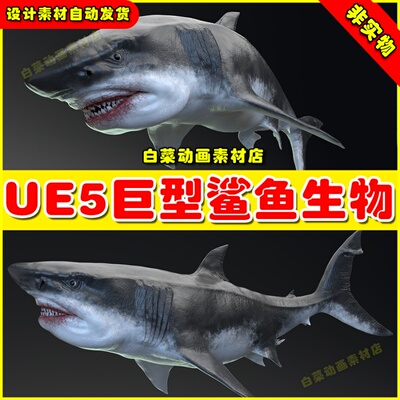 UE5虚幻资源 MEGALODON - Sea Monster Series 5 深海鲨鱼模型5.2