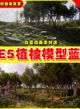 UE5虚幻资源 Hierarchical Scatter Tool 植物植被分解蓝图5.2