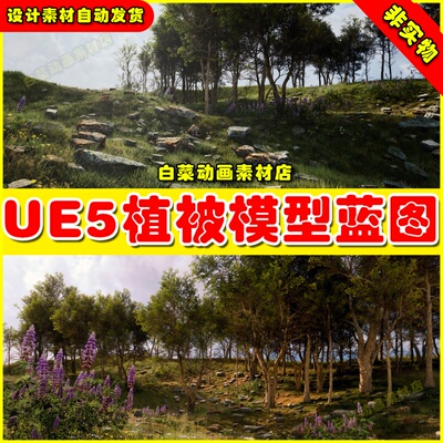 UE5虚幻资源 Hierarchical Scatter Tool 植物植被分解蓝图5.2