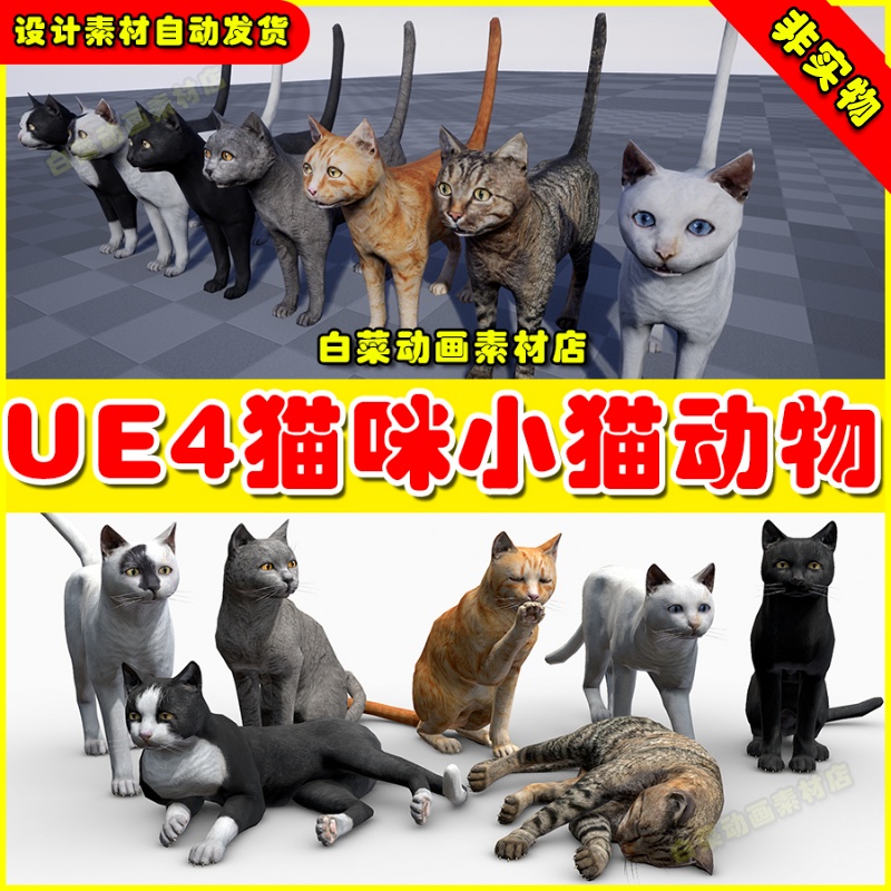 UE5 Cats Big Pack 小猫猫咪动画UE4动物4.27
