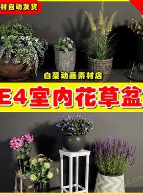 UE4 UE5 Plants Vol. 6 ( Flowered Plants ) 写实花草盆栽植物
