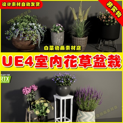 UE4 UE5 Plants Vol. 6 ( Flowered Plants ) 写实花草盆栽植物