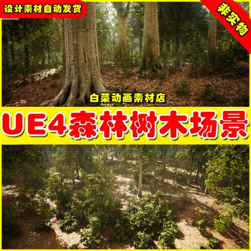 UE4森林树林树木UE5场景 MW Broadleaf Trees Forest Biome