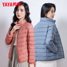 鸭鸭轻薄羽绒服女2024年新款立领轻便薄款保暖时尚短款外套冬女款