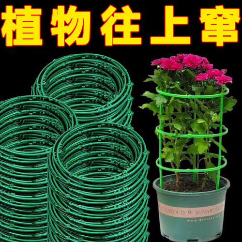 植物支架通用型花架拼接园艺兰花莲花花架子支撑杆内防掉爬藤架
