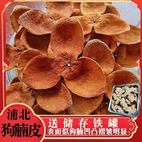 浦北狗腩皮超大个冬后陈皮香甜