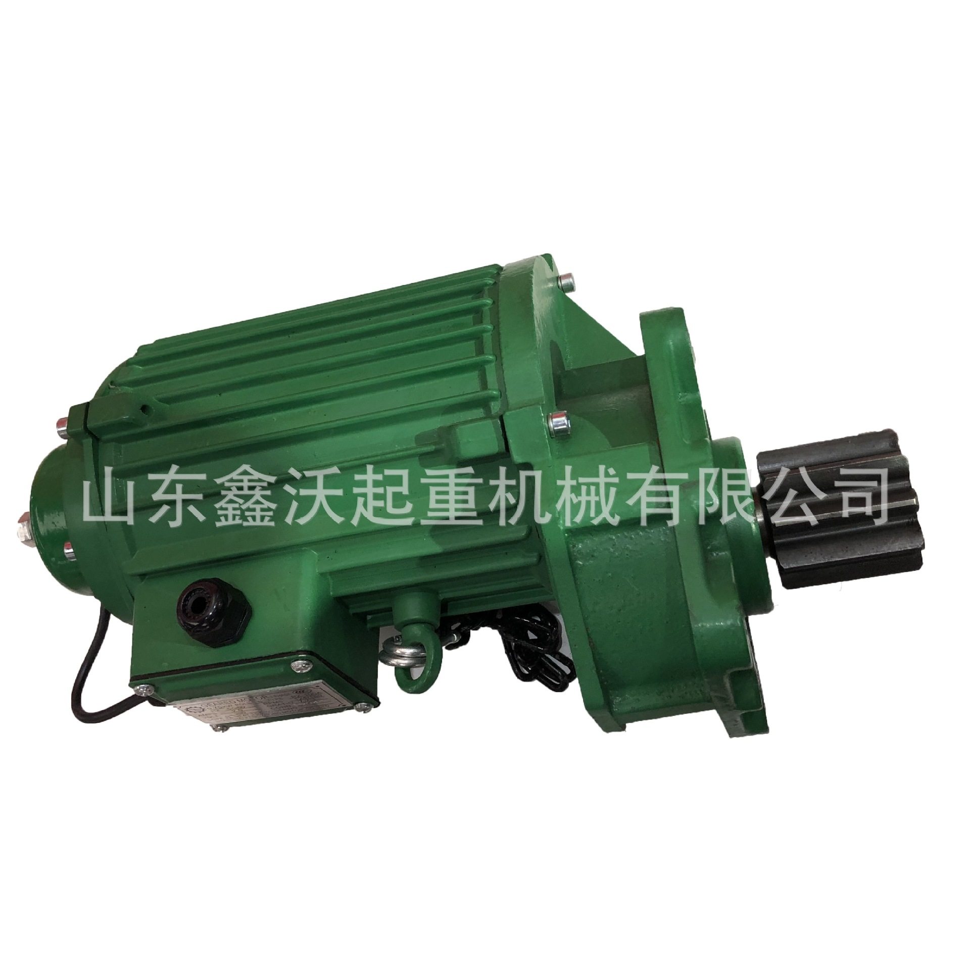 起重机械CT-A100 0.75KW起重机行车用电机 电动吊车鞍座马达,鲜花速递/花卉仿真/绿植园艺,其它园艺用品,淘宝优惠券,粉丝福利购,淘宝优惠卷