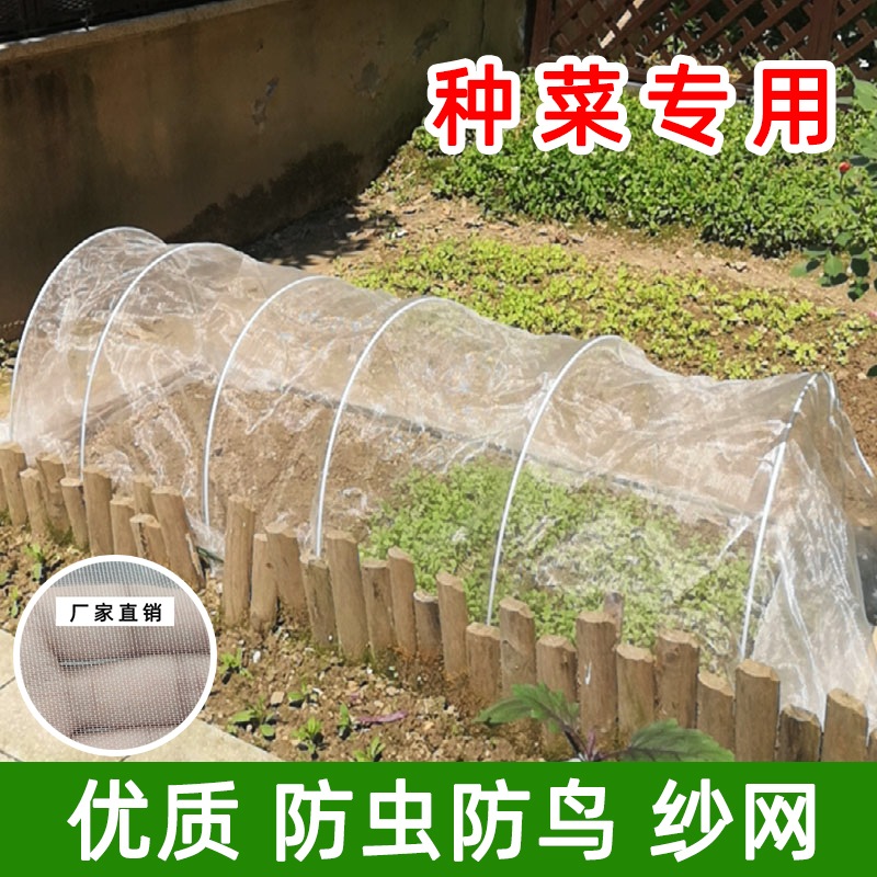 种菜防虫网小拱棚防虫网棚