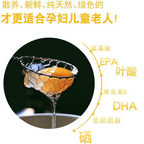 百世富泽鹅蛋杂粮喂养、顺丰包邮