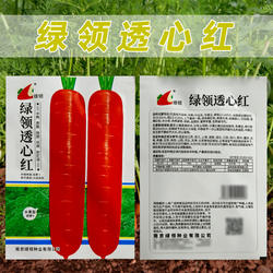 绿领透心红胡萝卜种子水分多富营养甜脆水果胡萝卜抗病好原装种籽