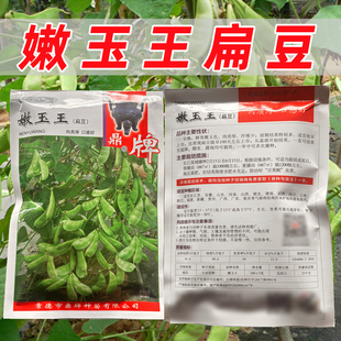鼎牌嫩玉王白扁豆种子特早熟嫩玉色肉质肥厚纤维少采收期长扁豆种