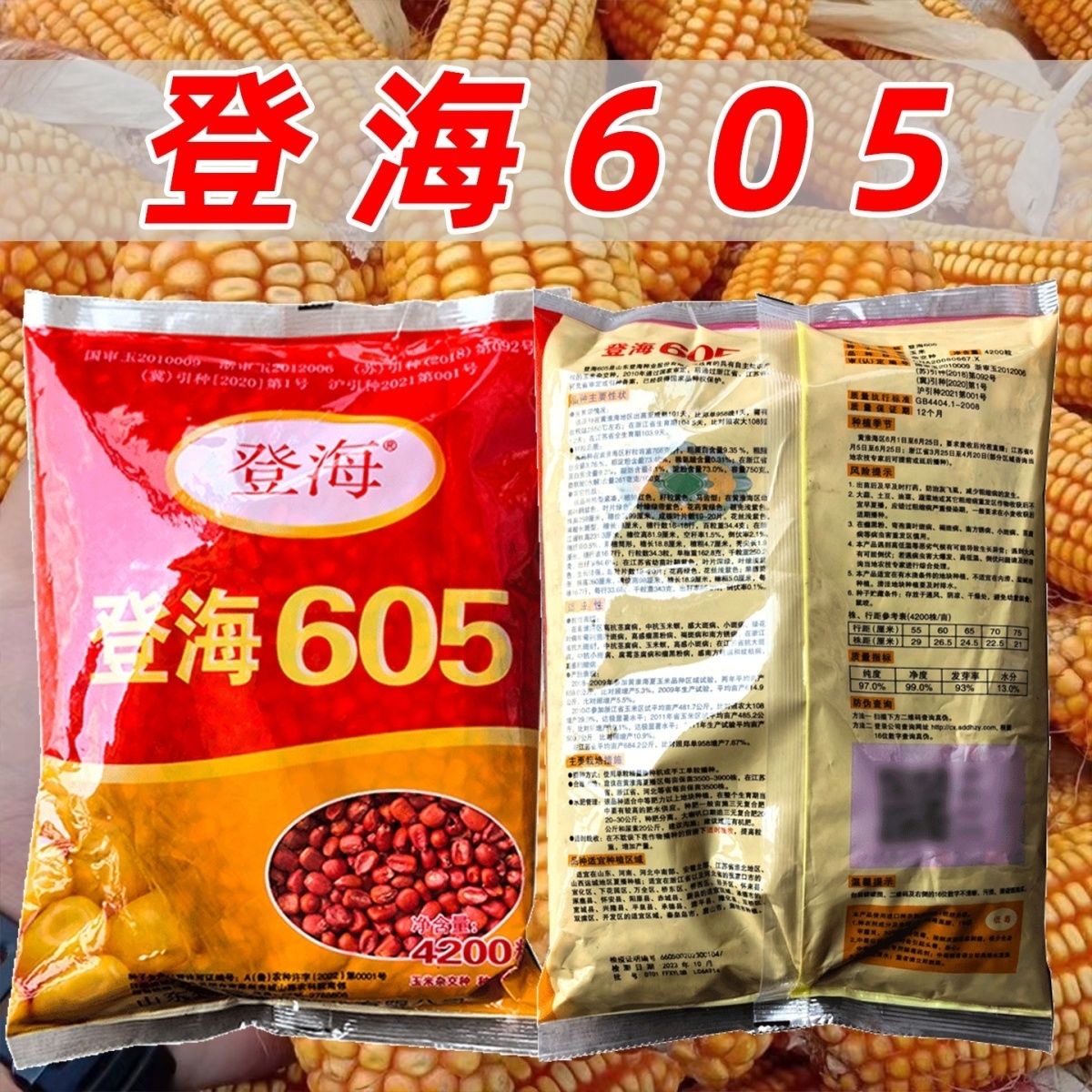 登海605玉米种子籽正品红轴大棒黄金粮吨产抗旱抗倒伏粮食玉米种