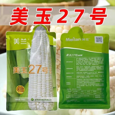 美玉27号加甜糯玉米种子大棒高产抗病鲜食白甜糯玉米种子春夏播