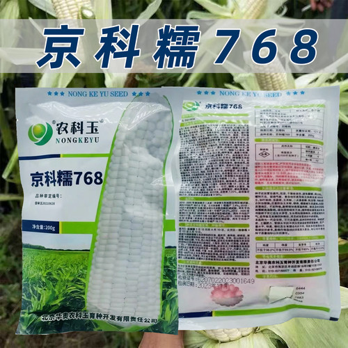 京科糯768甜糯玉米种子大棒高产